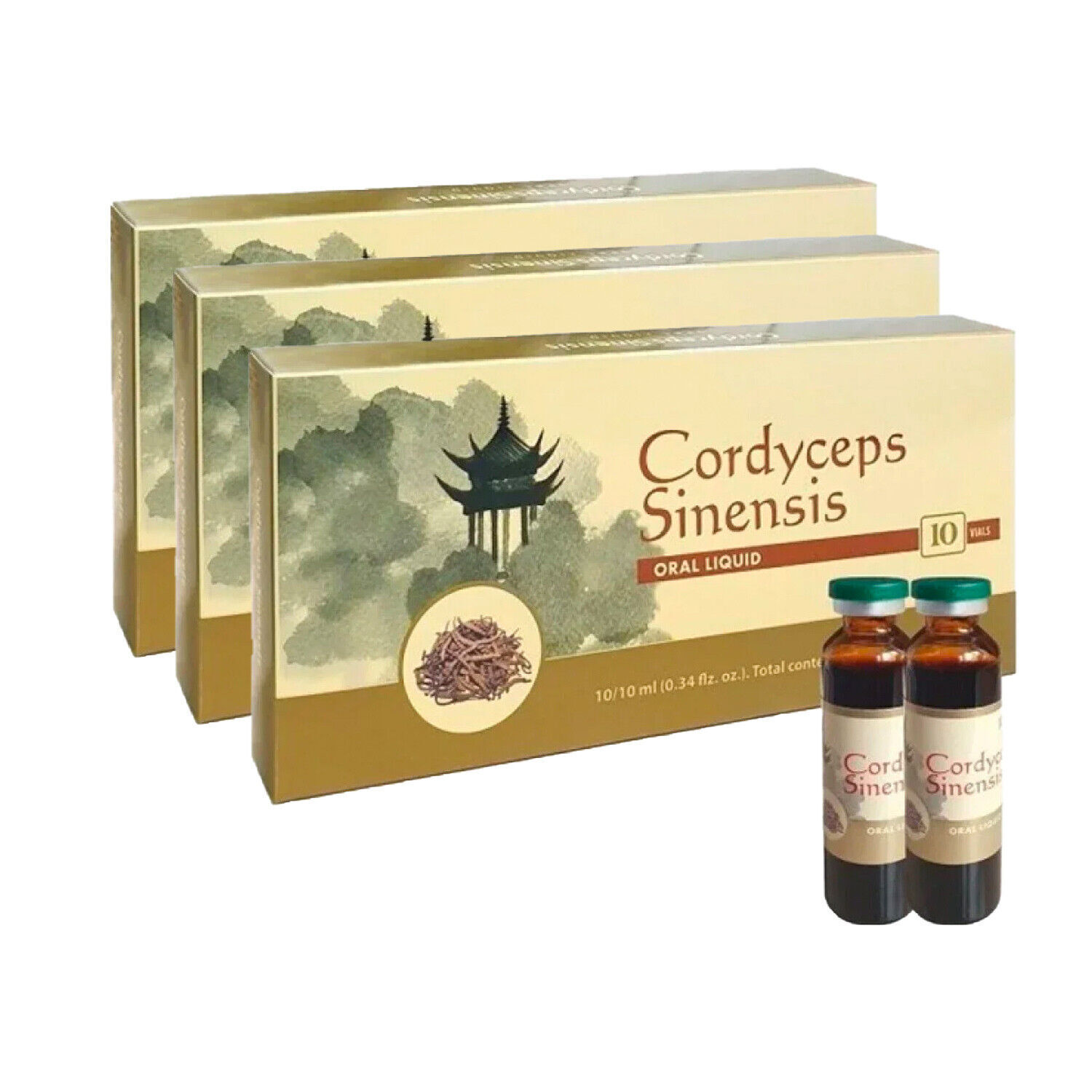 Cordyceps Sinensis 10x10ml